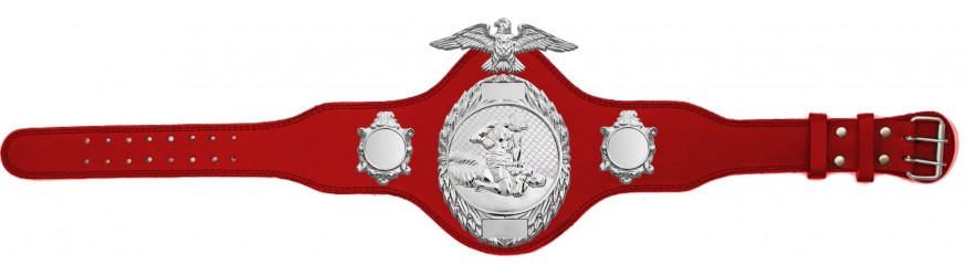 MMA CHAMPIONSHIP TITLE BELT-PLT288/S/MMAS-4 COLOURS MMA CHAMPIONSHIP TITLE BELT-PLT288/S/MMAS-4 COLOURS